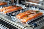 Vacuum Packaging Machines Knowledge: Operating Principles, Components, Uses and Maintenance